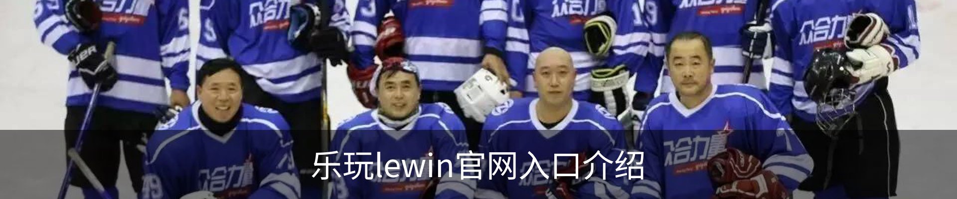 乐玩lewin官网入口介绍